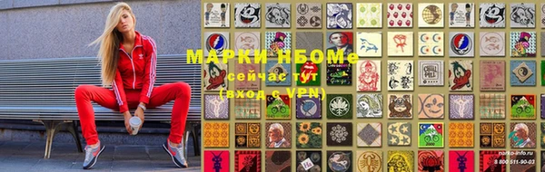 крисы Белоозёрский