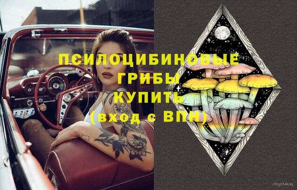 крисы Белоозёрский