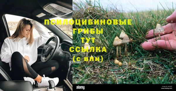 крисы Белоозёрский