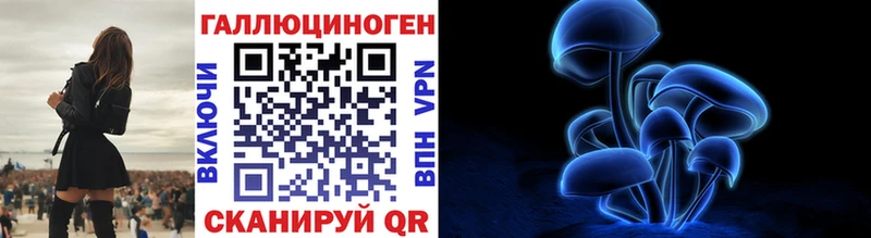 где найти   Брюховецкая  Галлюциногенные грибы Psilocybine cubensis 