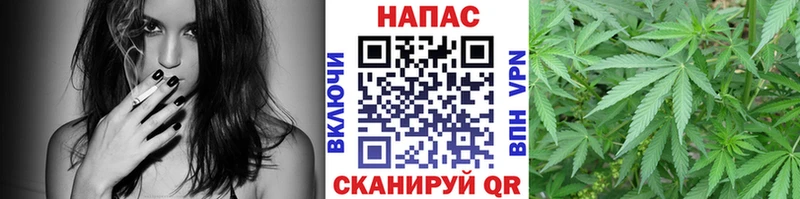 ссылка на мегу вход  Брюховецкая  Каннабис гибрид  где продают наркотики 